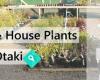 100 & 1 Garden & House Plants Otaki