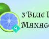 3 Blue Limes Management