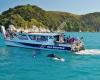 Abel Tasman Sea Shuttles