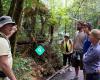 Adventure Puketi :Forestwalks and Guided Tours