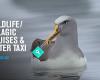 Aihe Wildlife Cruises & Water Taxi - Stewart Island