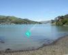 Akaroa's best kept secret - the perfect waterfront kiwi bach