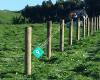 Alan Waihua Fencing