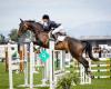 Amy McMullan Equestrian