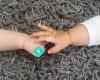 Apples Childcare & Learning Stanmore Bay