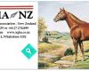 AQHA NZ