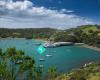 Aroha on Waiheke  - Cultural Tours