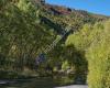 Arrow River Trail / Bush Creek Trail / Big Hill Trail / Sawpit Gully Trail