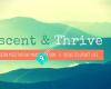 Ascent & Thrive - Law of Attraction, Abundance & Manifestation classes