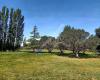 Ascot Park Disc Golf Course