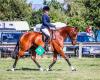 Ashleigh Tawhara Equestrian