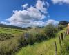 Atawhai Whenua Reserve