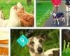Au Paw House Pet + Farm Animal Care Services