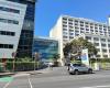 Auckland City Hospital Emergency Room
