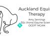 Auckland Equine Therapy - Amy Jennings