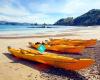 Auckland Sea Kayaks