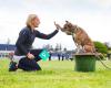 Augusta Grayson - Proactive Canine Training
