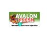 Avalon Fresh