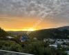 Baldwin Street - The Steepest Street in the World