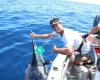 Barrier Hunting and Fishing Charters