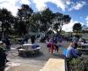 Bay of Islands International Academy