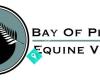 Bay of Plenty Equine Vets