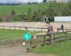 Beachlands Maraetai Pony Club