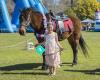 Becks Ponies - Blazing Saddles Rotorua
