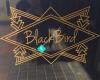 BlackBird Boutique New Plymouth