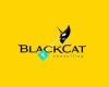 Blackcat Consulting