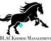 Blackhorse Management