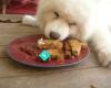 Blake's Bikkits gluten free dog treats
