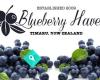 Blueberry Haven