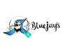 Bluejay's