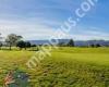 Boulcott's Farm Heritage Golf Club