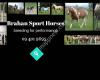 Brahan Sport Horses