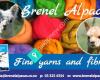 Brenel Alpacas Fine Yarns and Fibres