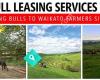 Bull Leasing Services Ltd