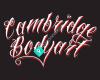 Cambridge Bodyart - Bodyart NZ Ltd