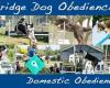 Cambridge Dog Obedience Club