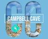 Campbell Cave at Barfoot & Thompson - Licensed Sales Consultant REAA 2008