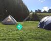 Camping and Glamping Kinloch Taupo