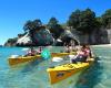 Cathedral Cove Kayaks