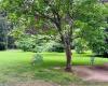 Chingford Park Disc Golf
