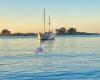 Christchurch Yacht Club