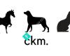 CKM Animal Care