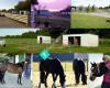 Clareville Stables :Horse Boarding: