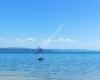 Clarks Beach Recreational Reserve