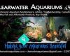 Clearwater Aquariums