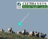 Clutha Vets Sheep, Beef & Deer